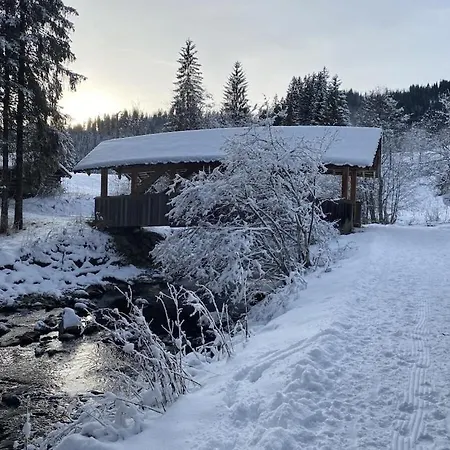 Hébergement de vacances With 0 Bedrooms Riezlern