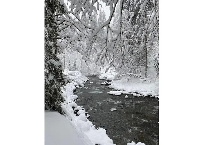 With 0 Bedrooms Holiday home