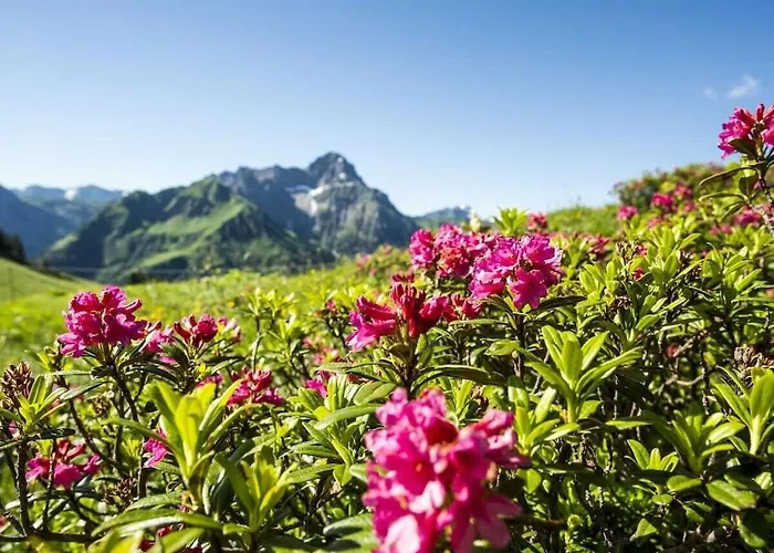 With 0 Bedrooms Holiday home Riezlern