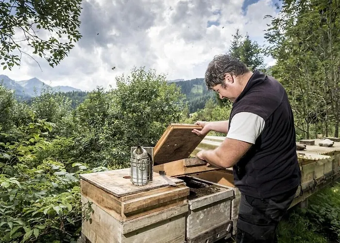 With 0 Bedrooms * Riezlern